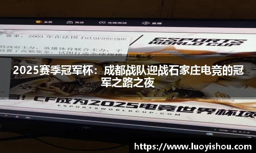 2025赛季冠军杯：成都战队迎战石家庄电竞的冠军之路之夜